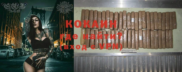 гидра Кодинск