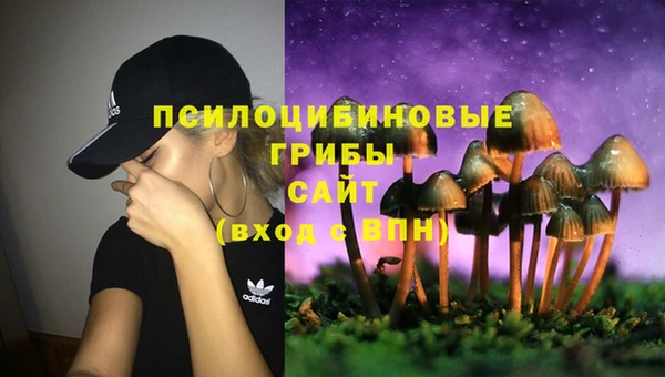 спиды Алексин